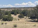 Lot 752 Woodland Valley Ranch - Photo 6