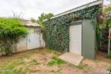 46 Black Knob View - Photo 32