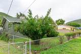 46 Black Knob View - Photo 51