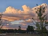 6534 Jardin Drive - Photo 48