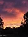 6534 Jardin Drive - Photo 49
