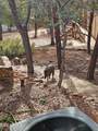 4508 Chalet Drive - Photo 39