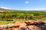 12435 Cielo Vista - Photo 43