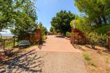 12435 Cielo Vista - Photo 49