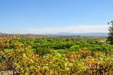 12435 Cielo Vista - Photo 50