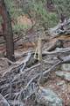 000 Sundown Lane Lane - Photo 13