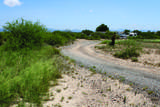 .34 Acres Ironwood Road - Photo 3