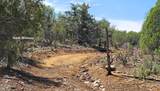9716 Cattle Drive - Photo 4