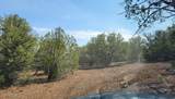 9716 Cattle Drive - Photo 5