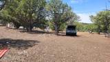 9716 Cattle Drive - Photo 9