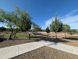 1941 Sable Ridge Road - Photo 13