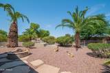 18650 Cactus Flower Way - Photo 37