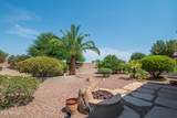 18650 Cactus Flower Way - Photo 38