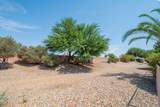 18650 Cactus Flower Way - Photo 40