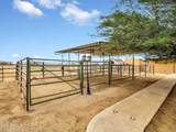 1251 Stetson Lane - Photo 42