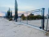 0 Vineyard Road - Photo 1