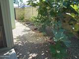 6532 Lupine Avenue - Photo 22