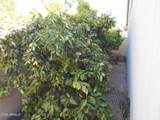 6532 Lupine Avenue - Photo 23