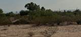 0 Cactus Flower Drive - Photo 11