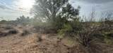 0 Cactus Flower Drive - Photo 19