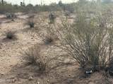 0 Cactus Flower Drive - Photo 2