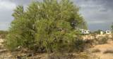 0 Cactus Flower Drive - Photo 20