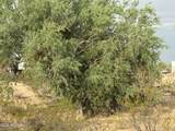 0 Cactus Flower Drive - Photo 28
