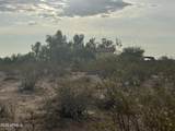 0 Cactus Flower Drive - Photo 30