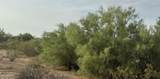 0 Cactus Flower Drive - Photo 33