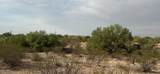 0 Cactus Flower Drive - Photo 34