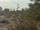 0 Cactus Flower Drive - Photo 6