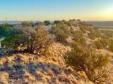 TBD Co Rd 5060 1.38 Acres - Photo 5