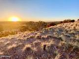 TBD Co Rd 5060 1.38 Acres - Photo 8