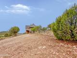 4605 Flycatcher Lane - Photo 3
