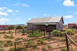 8429 Rockin R Ranch Trail - Photo 43