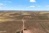 8429 Rockin R Ranch Trail - Photo 47