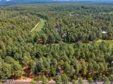 2864 Woodpecker Lane - Photo 45