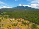 8900 Snowbowl Ranch Road - Photo 65