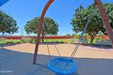 4290 Cynthia Street - Photo 49