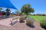 4290 Cynthia Street - Photo 58