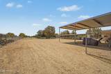 7823 Citrus Road - Photo 58