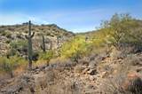 11664 Sunset Vista Drive - Photo 24