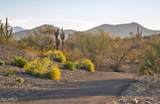 2121 Sonoran Desert Drive - Photo 61
