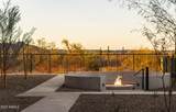2121 Sonoran Desert Drive - Photo 62