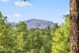 941 Madizell Drive - Photo 117