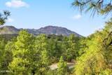 941 Madizell Drive - Photo 121