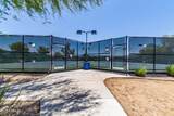 29213 Shannon Drive - Photo 42