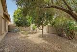 43398 Little Drive - Photo 51
