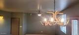 2310 Cottage Trail - Photo 10