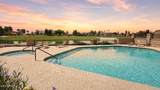8076 Via Del Arbor - Photo 31